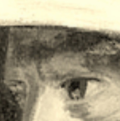    P A Renoir in Augenbraue unter Infrarotfilter