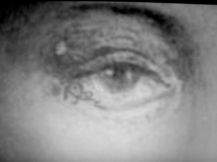 Die Infrarotaufnahme linkes Foto offenbaaren in der Vergrößerung das Kürzel Ren im linken untern Augenlied